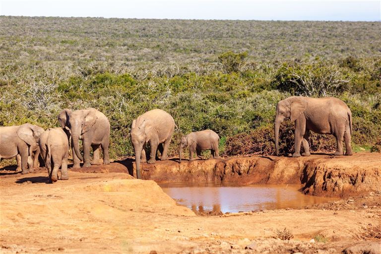 Erlebnis Gartenroute, Karoo & Addo ©dougholder/adobestock